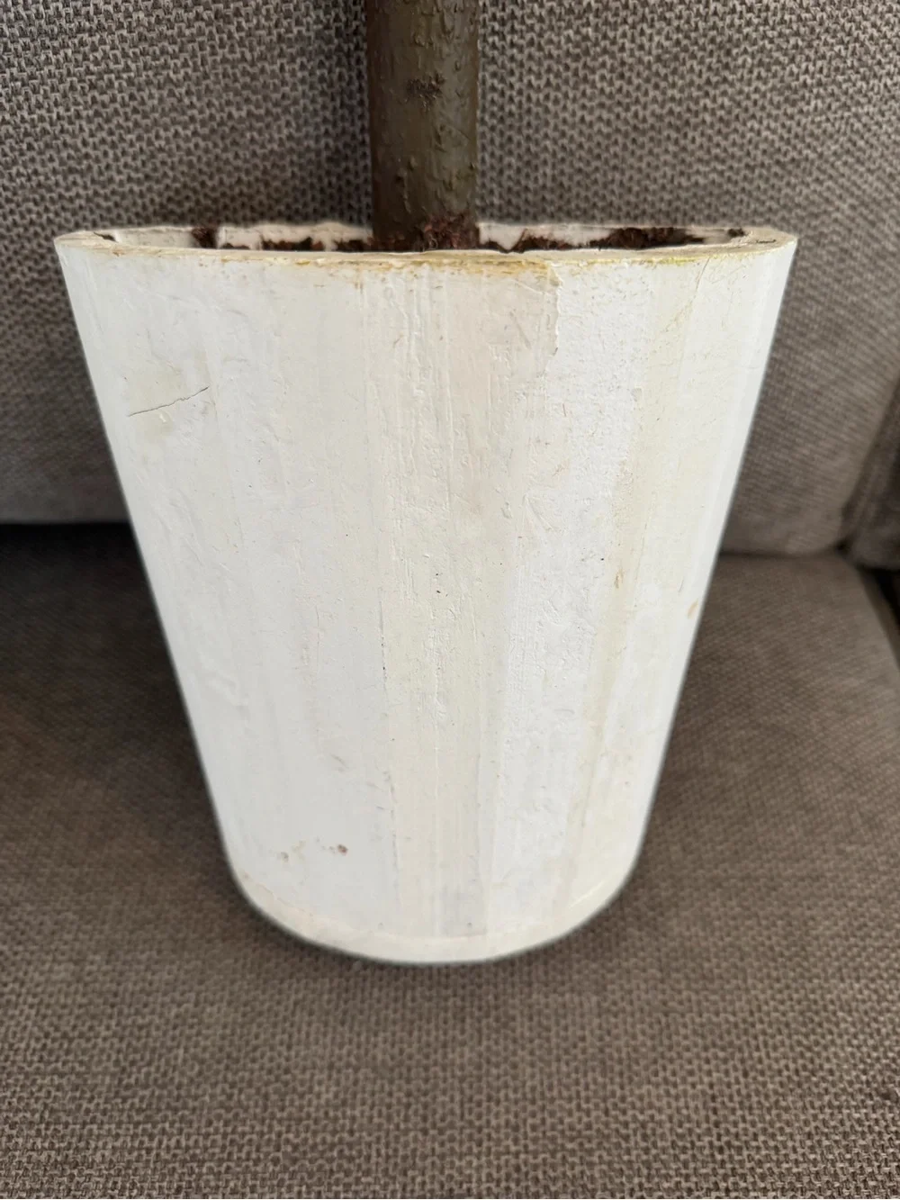Pier 1 Green Boxwood Topiary Pair with White Pots and Burlap Bows Like New